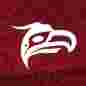 Animikii Indigenous Technology logo
